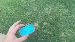 Fill in bare spots in your lawn with masonry sand and this fertilizer