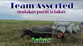 Ep,400.Team assorted malakas parin si lakas LAKAS