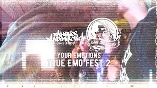 Llive отчет - Your EMOtions:True EMO fest-2