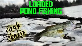 Fishing a LOADED Pond (Early Spring Bass Fishing)!