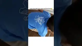 Subscribe for more funny content😂 #feed#shorts#viral#trending#memes#dankmemes#funny#laugh#illusion