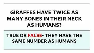 OLD WIVES TALES  TRUE FALSE PART 2