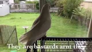 More bastards