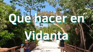 ¿Que hacer en Vidanta y Jungala?