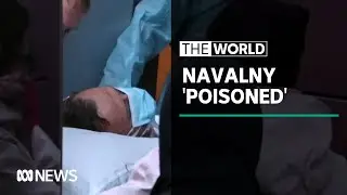 German doctors: Russian opposition figure Alexei Navalny was poisoned | The World