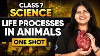 Class 7 Science | 🔴Live One Shot: Life Processes in Animals | Isha Ma&rsquo;am | Infinity Learn #class7