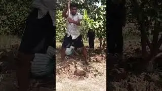 Kanha farming short !! #shorts #short video #viral youtube shorts #viral shorts #viral