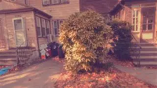 Color and Shadow in Flatbush- Infrared and Street Photography in NYC During Fall (Kolari IR Chrome)