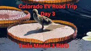 #21 Day 3 Colorado EV Road Trip Denver Botanical Gardens, Coors Field Tesla Model 3 RWD