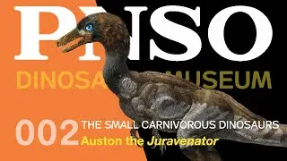 002 Auston the Juravenator | The Small Carnivorous Dinosaurs | PNSO DINOSAUR MUSEUM Season III