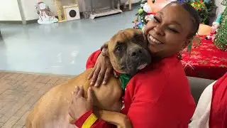 Finding Solutions: Local brothers deliver Christmas surprise to Augusta Animal Services