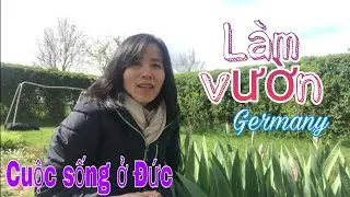 Lấy Chồng Tây | làm vườn ở Đức | cuộc sống Thôn Quê nước Đức | Cuộc sống ở Đức