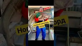 Треска 52 кг! Новый рекорд Норвегии | 52 kg Cod! New Record in Norway #fishing #рыбалка #seafishing