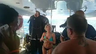 Sharm scuba service   la prima