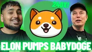 $BABYDOGE WILL 240X!! ELON MUSK IS PUMPING BABYDOGE!! BABY DOGE COIN PRICE PREDICITON