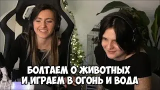 СОНЕЧКА и ДИАНА БОЛТАЮТ о СВОИХ ЖИВОТНЫХ, ИГРАЮТ в ОГОНЬ и ВОДА, СМОТРЯТ YOUTUBE SHORTS