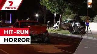 Innocent woman left for dead in shocking hit-run in Pascoe Vale | 7NEWS
