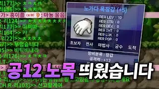 이번엔 공12 노목입니다 | 메이플랜드