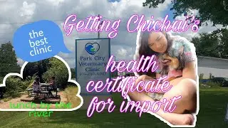 Health Certificate || Park City Veterinary Clinic || Fayetteville, Tennessee