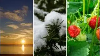 Why are Solstices Celebrated? (Webinar)