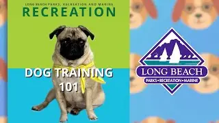 Long Beach Parks Recreation and Marine Dog Behavior Training 101 and 201 Courses