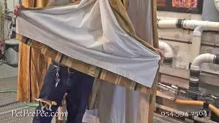 Cleaning Silk Drapery from Pets Accidents | PetPeePee