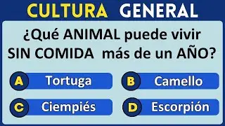 Desaf&iacute;a tu inteligencia con preguntas r&aacute;pidas y curiosidades #10