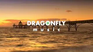Shranay Shahane - Twilight | 1 Hour Version