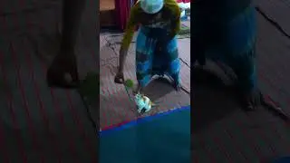 kitty's money কিট্টির টাকা #cat #cats #catvideos #trending #foryou #shortsfeed #shorts #reels #kitty