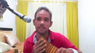 Aulas de flauta pan