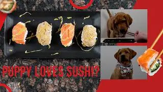 How to Make Sushi for a Dog 🍣 | Full Sushi for Lab Puppy Prep + First Taste to Final Pup Bite