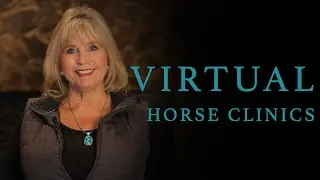 Virtual Horse Clinics