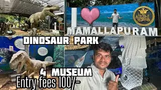 India seashell museum Mahabalipuram