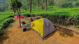 Liburan Seru di Pinus Eco Park Puncak | Camping Keluarga Disini