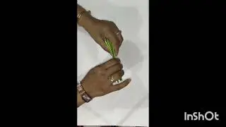 Pepper craft 