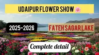 Udaipur Flower Show 2025–26 🌸 | Fateh Sagar Lake 