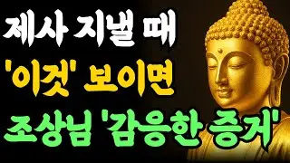 부처님 말씀 | 제사상에 '이것' 나타나면 .조상님이 밥 드시고 갔다는 확실한 증거 4가지