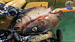 sᴏʟʙ ɴᴀ sᴏʟʙ ᴀɴɢ ᴘᴀɴɢ ᴜʟᴀᴍ 😍😋🥰#catchandcook #spearfishingadventures #seafood 