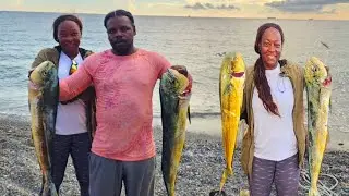 MAHI MAHI FRENZY