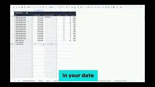 Caseload Template Full169