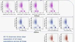 Simplified Benchtop Multicolor Flow Cytometry for Immune and Cancer Cell Analyses