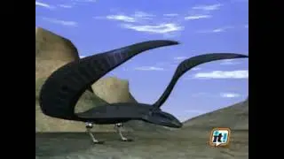 Transformers Biocombat Beast Wars | 2&deg; Serie | Episodio 11 - Il Coraggio Di Grifo Parte 1