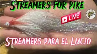streamer, for Lucio live streamer para para Lucio en vivo