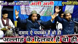 अल्लाह के दिलबर है अली Salim Sabri #Qawwali अली अली बोल अली