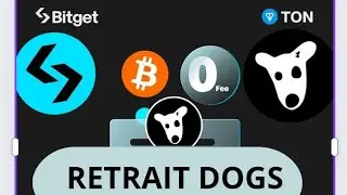 RETRAIT DE VOS DOGS #BitgetLuckyDogs #airdrop #dogs