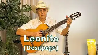 LEONITO - DESAPEGO -  (Cover)