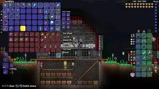 Terraria. Breaking the rules