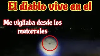 Me vigilaba desde los matorrales 