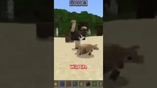 Wild animal #minecraft #fun #wolf #scary #lion #tiger #block 🐆🐅🦓