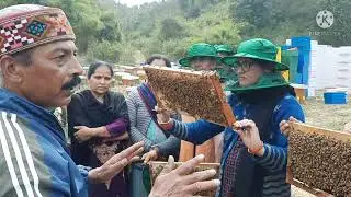 bee🐝 farming  training  at  una   gagret hp or shahed saaf kerne ka tarika